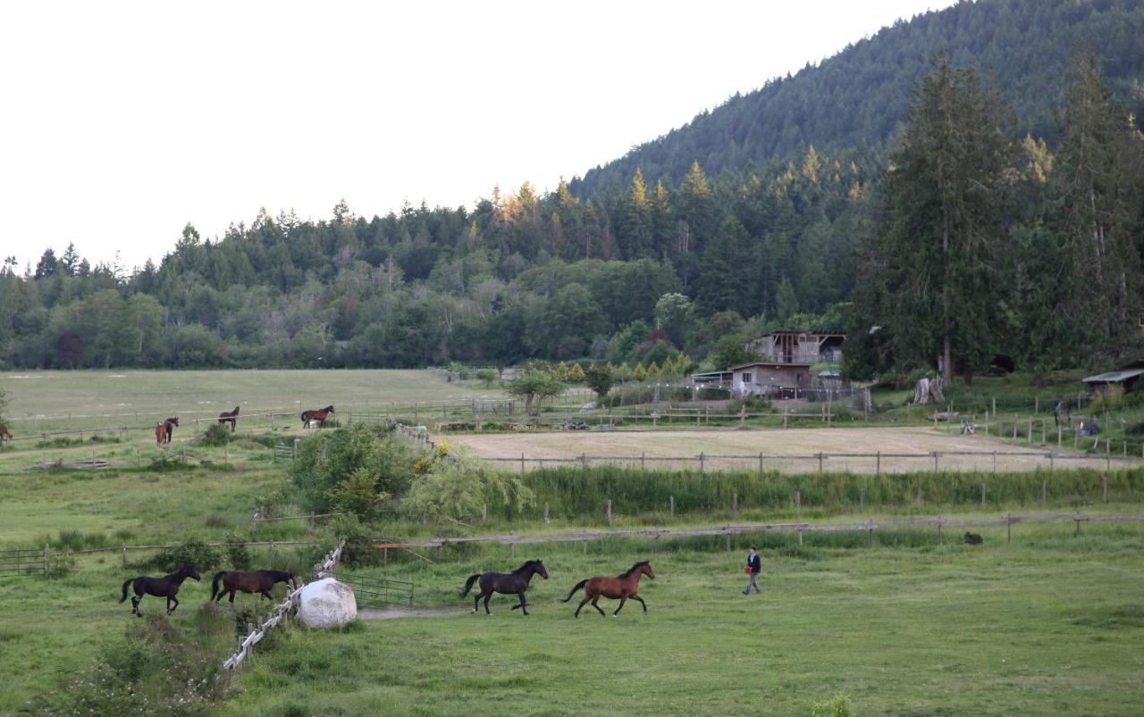 Woodstone Manor Inc. Otel Sturdies Bay Dış mekan fotoğraf